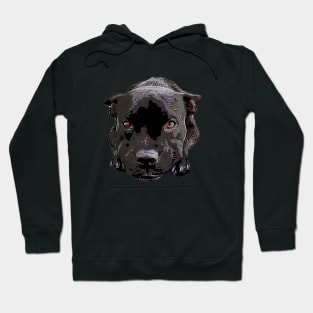 Staffy Looking Cute! Hoodie